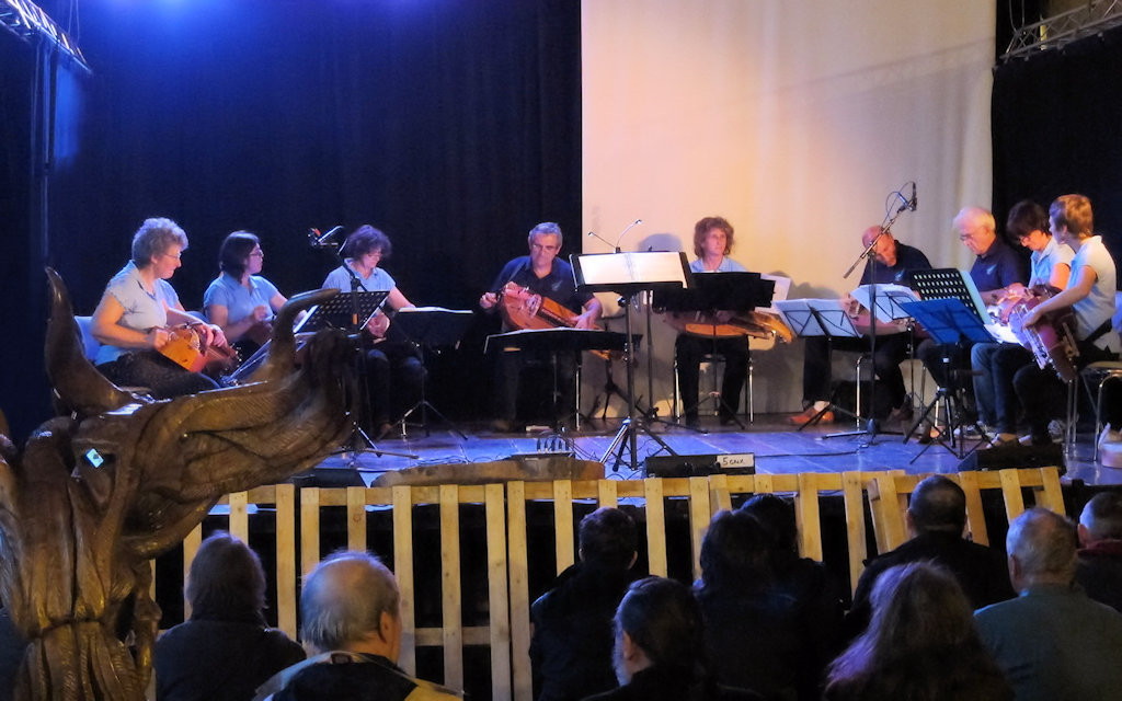 Festival des Troncs Sonnés